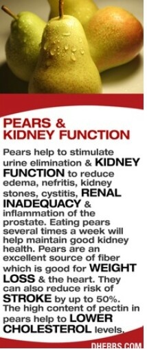 kidney health gourmet diet guide