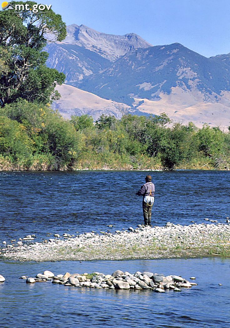 madison river fly fishing guides