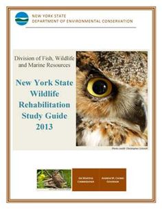 wildlife rehabilitation exam study guide