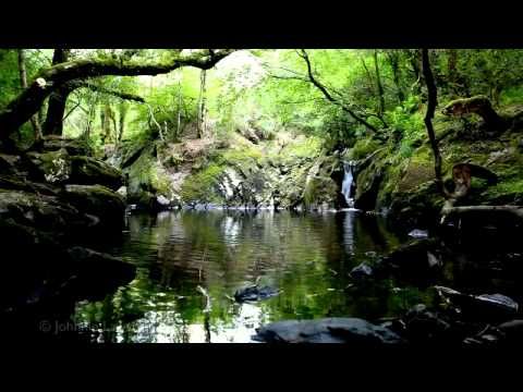 guided sleep meditation forest relax